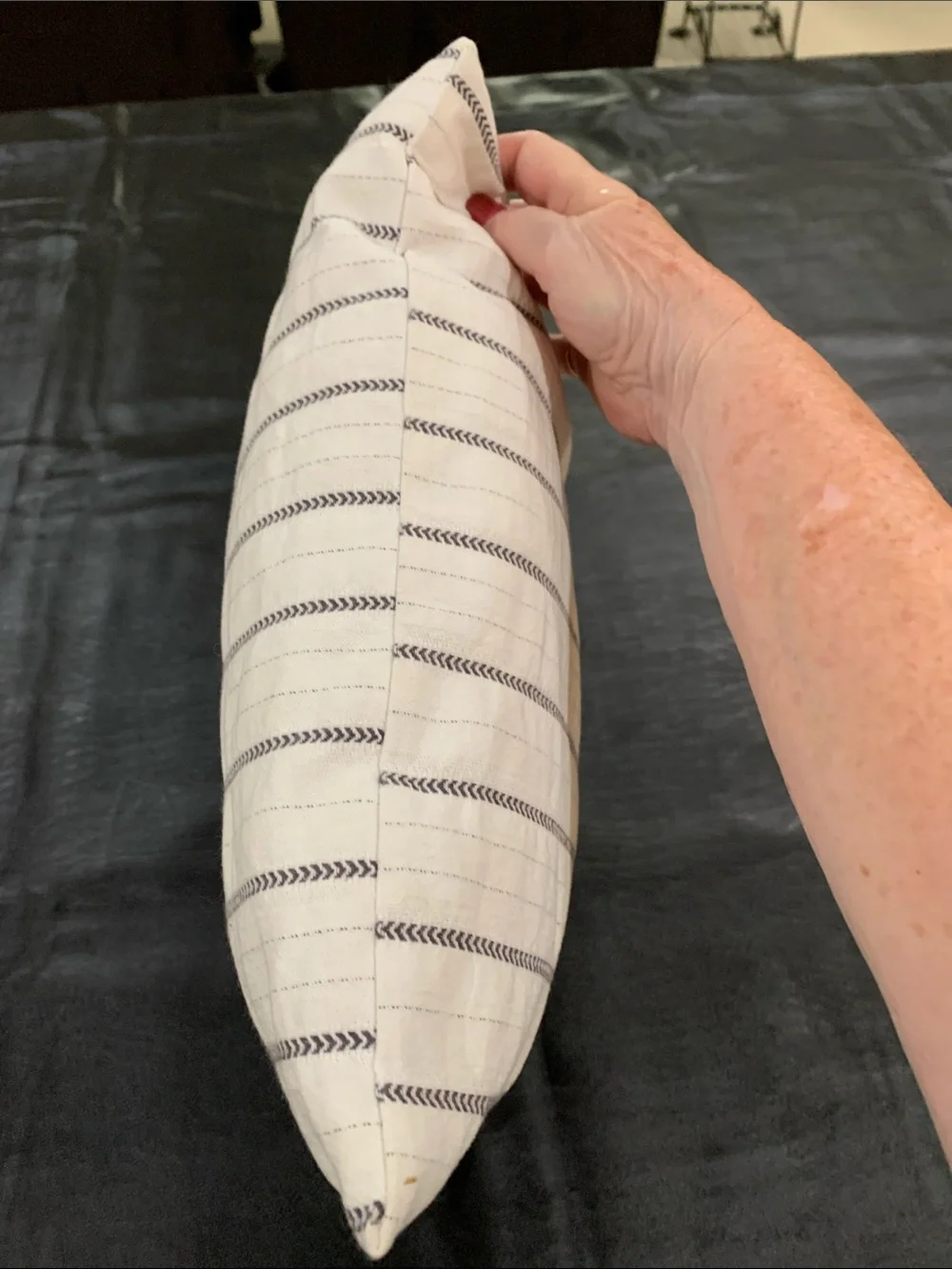 Cream and Black Striped Throw Pillow